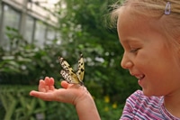 Child Observes Butterfly Close-up at Butterfly House