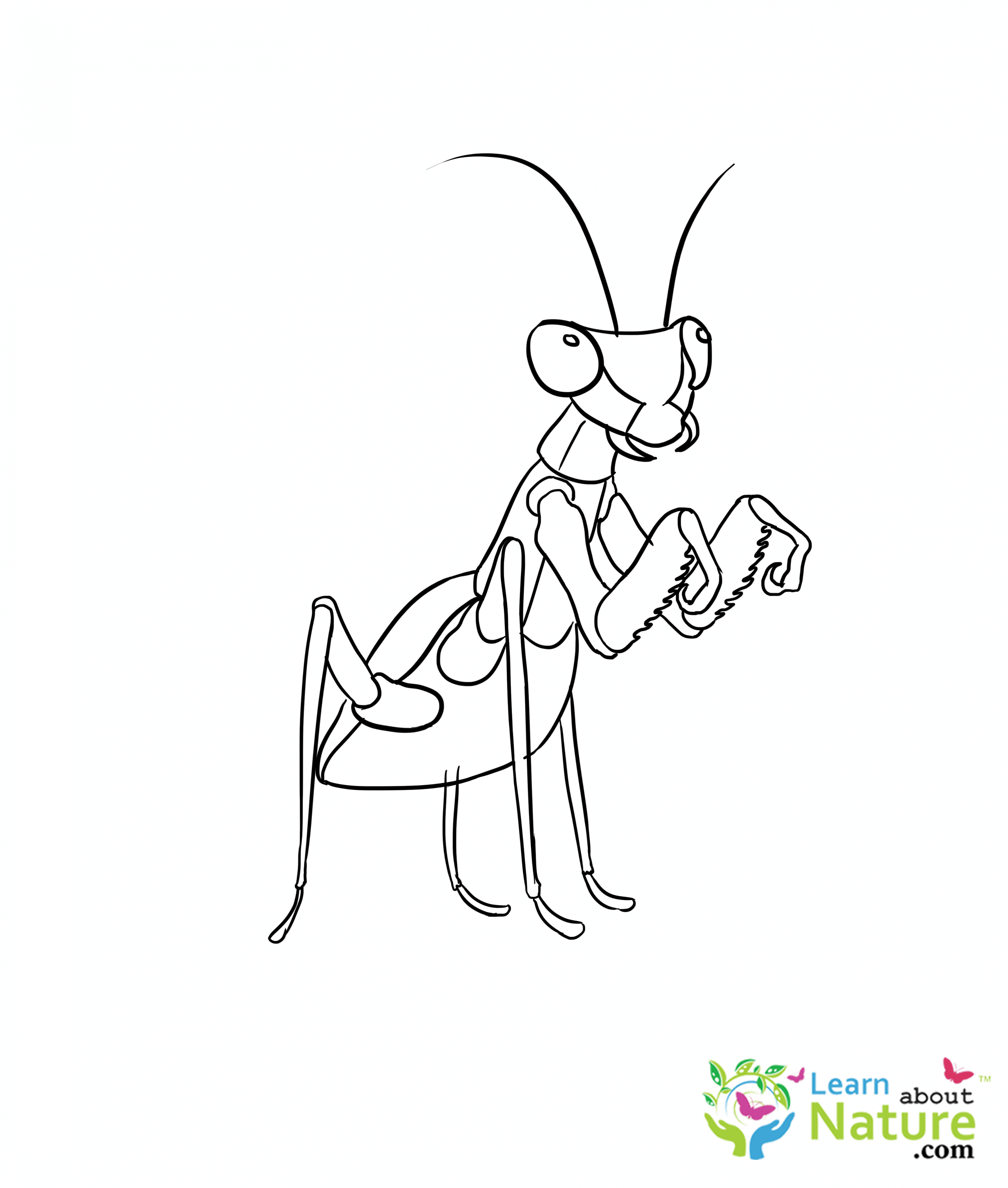 mantis coloring pages - photo #27