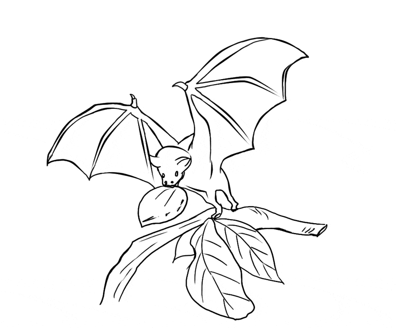 Download Free Bat Coloring Page - Learn About Nature