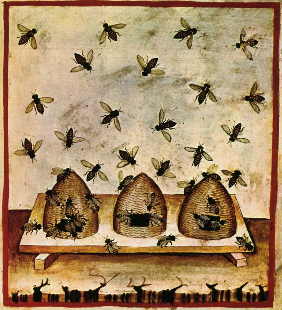Beekeeping