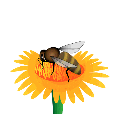 Animated Bees