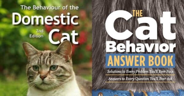 Best Books for Cat Lovers to Read Right Now