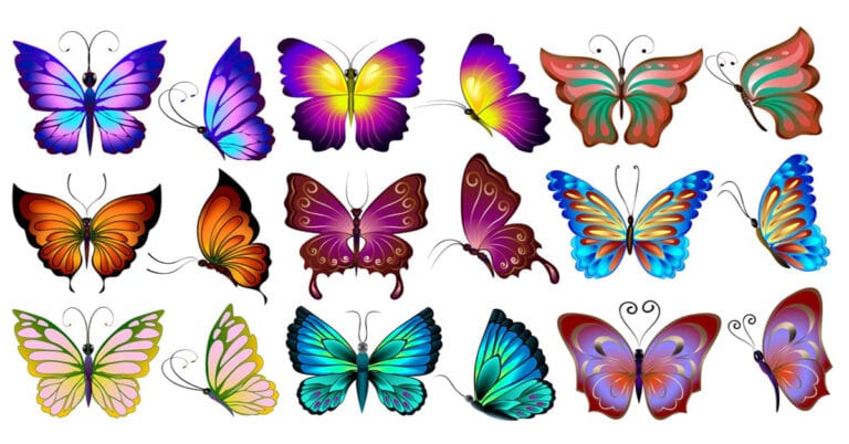 FREE Butterfly Clip Arts