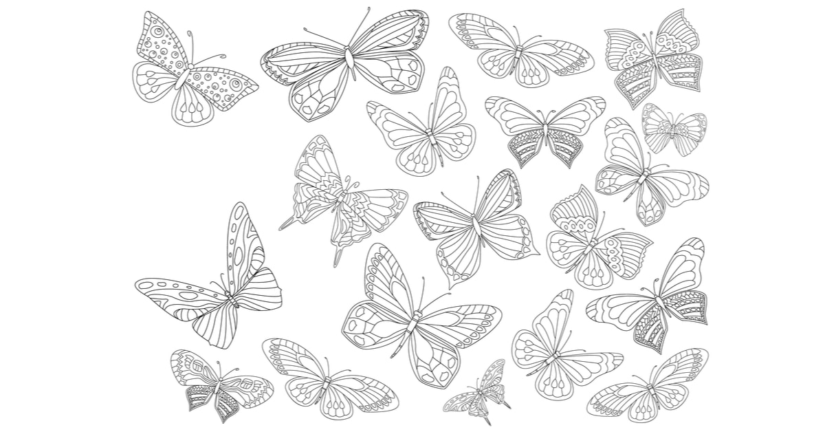 Butterfly Coloring Page 1