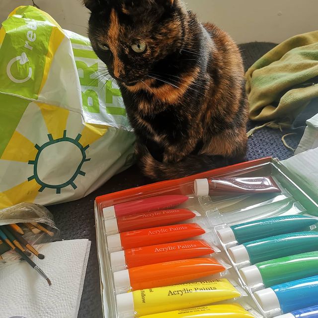 Colorblind cat