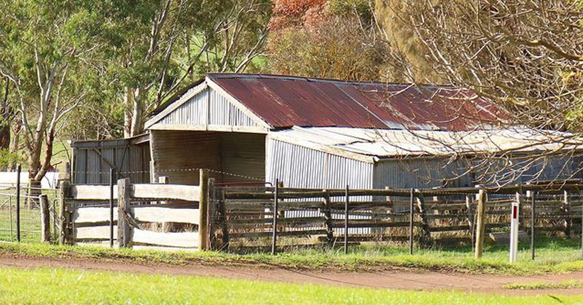Creating the Perfect Home for Your Farm Animals with a Shed