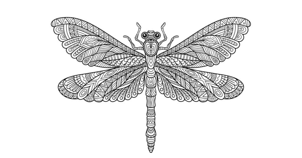 Dragonfly Coloring Page