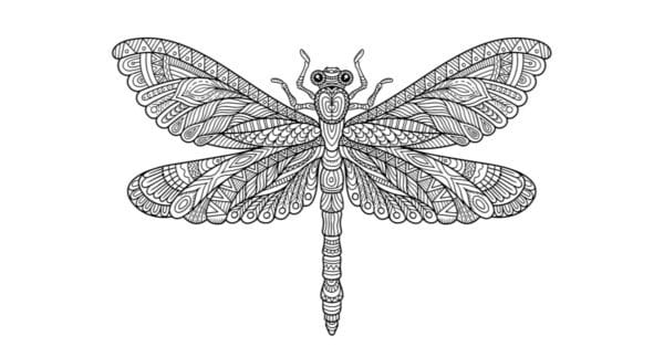 Dragonfly Coloring Page