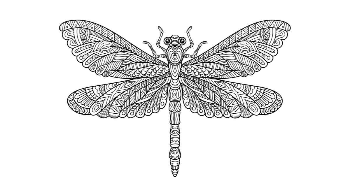 Dragonfly Coloring Page