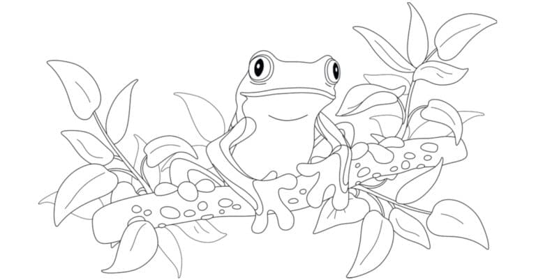 Frog Coloring Pages & Drawings