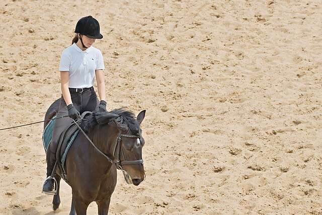 Horse Riding on beach