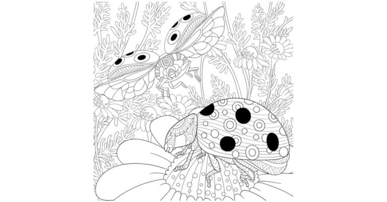 Ladybug Coloring Pages & Drawings