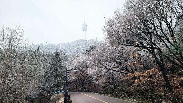 Namsan Mountain & N Seoul Tower