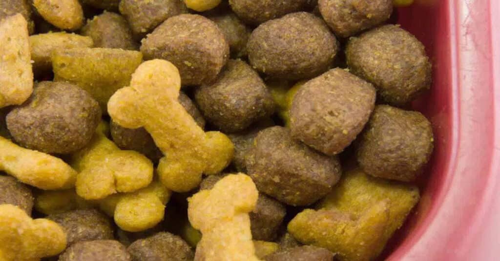 Storing Dog Food
