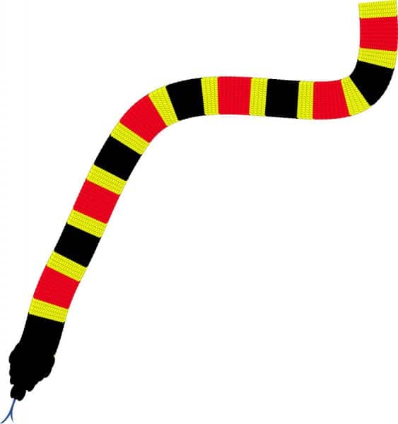 The Color Codes of a Coral Snake