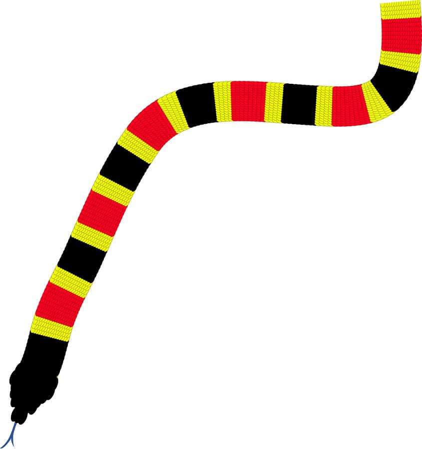 Coral Snakes Rhyme - Learn About Nature