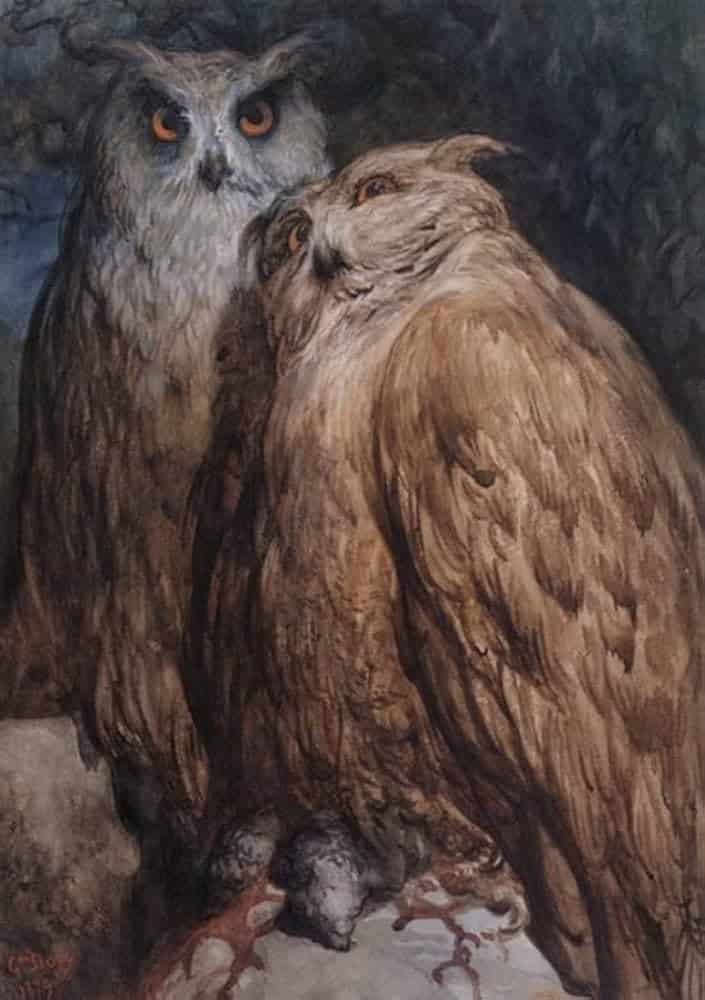 Two Owls by Gustave Doré