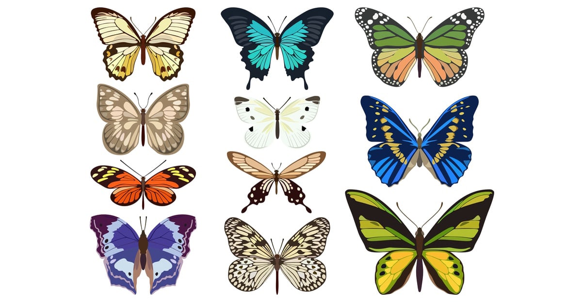 Vector image of different-colored butterflies