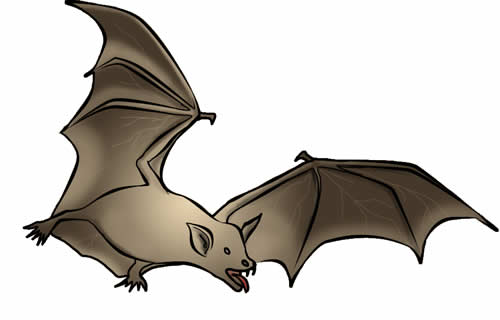 clip art bat