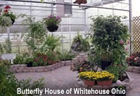 Butterfly House Ohio
