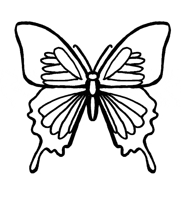 Butterfly on Leaf Coloring Page