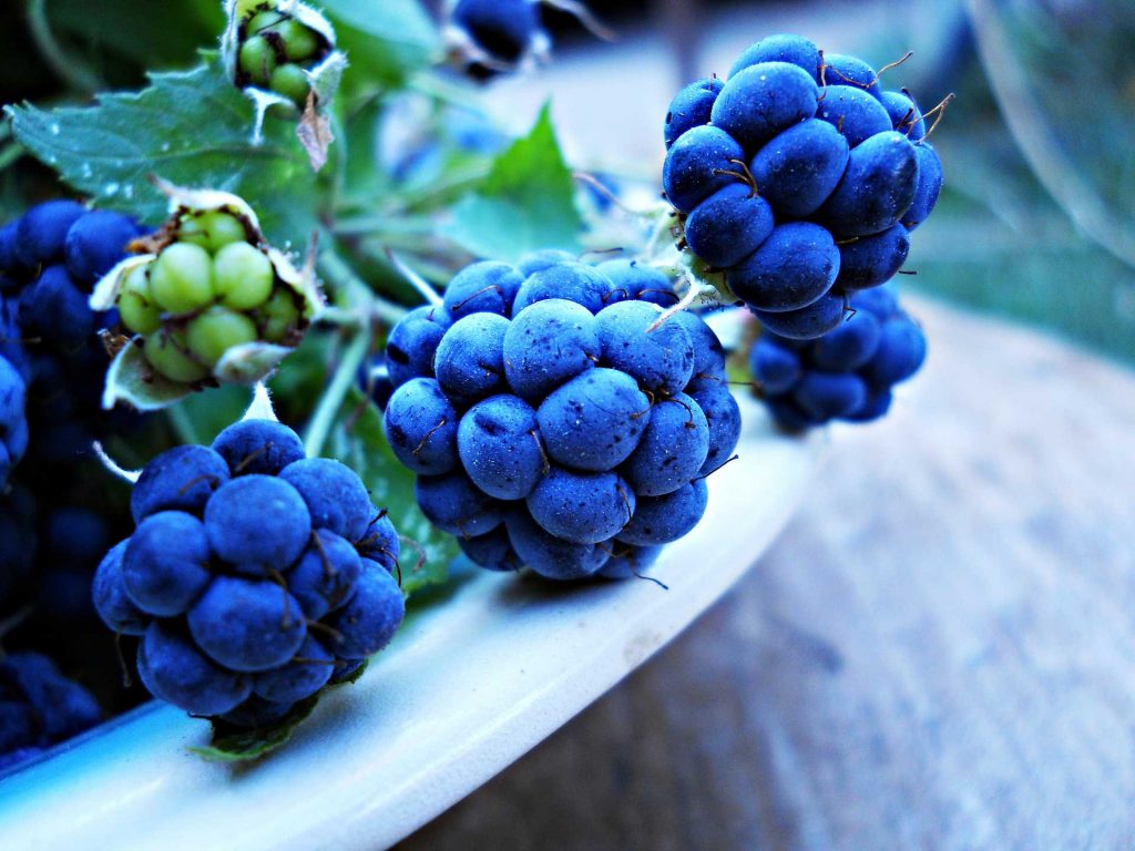Blueberries