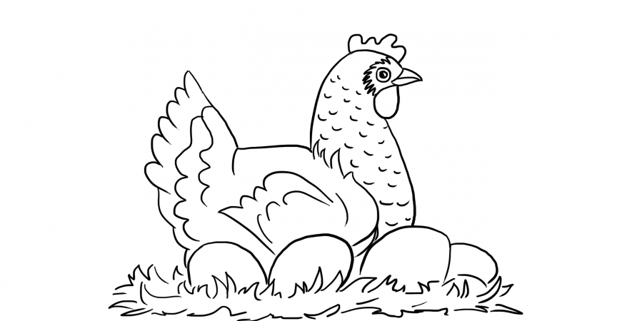 Chicken with Eggs Coloring Page - Learn About Nature