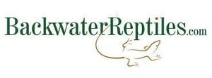 Black Water Reptiles Logo