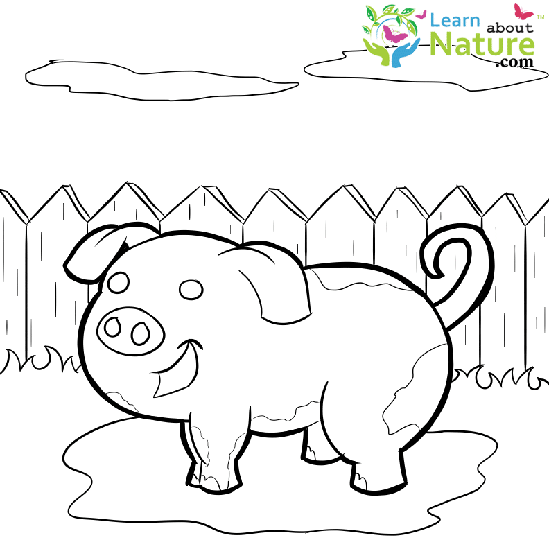 Download farm-animals-coloring-page-2 - Learn About Nature