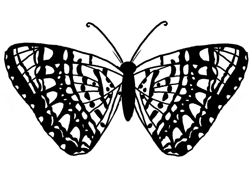fluttering butterfly coloring pages