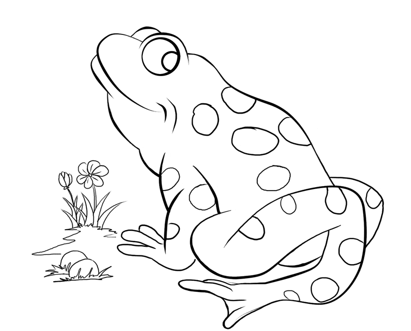 Frog coloring page 10