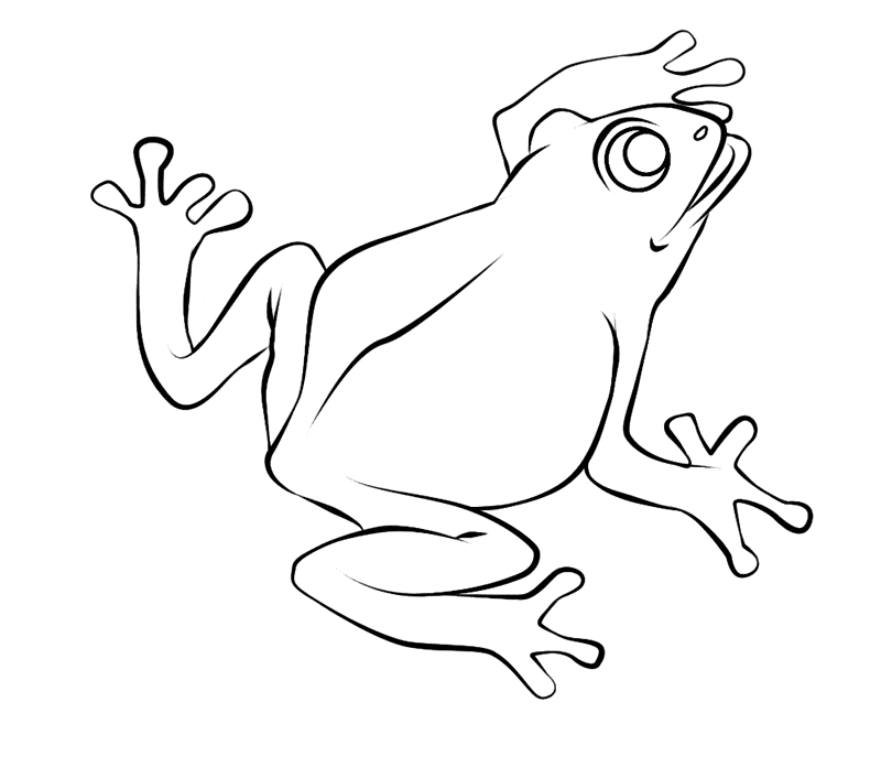 Frog coloring page 12