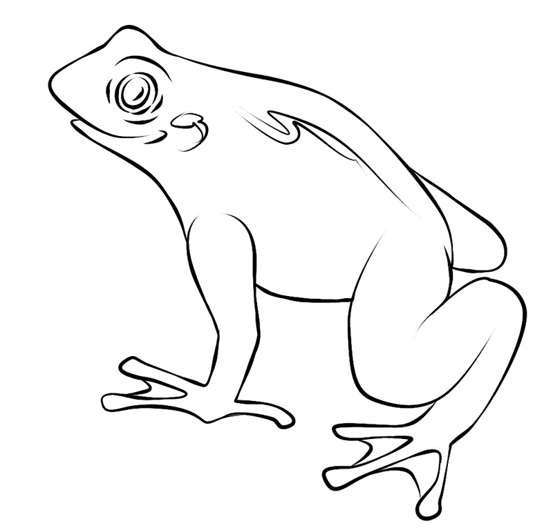 Frog coloring page 13