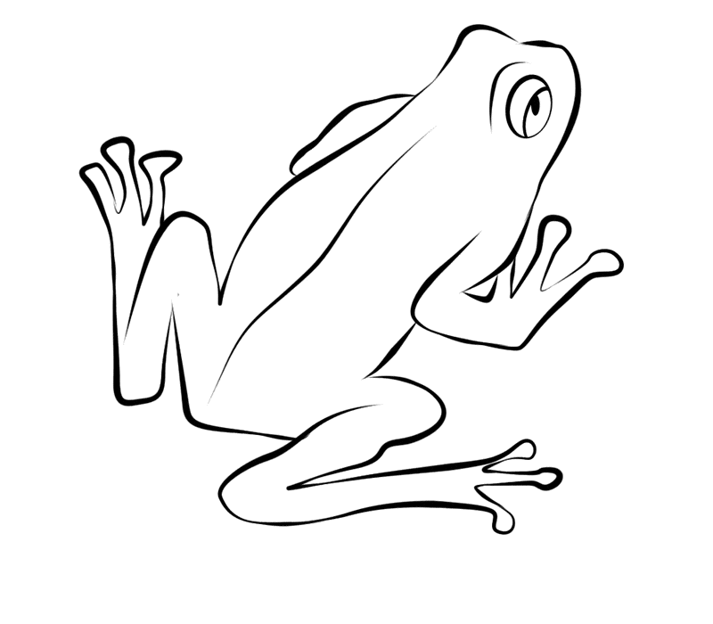 Frog coloring page 14