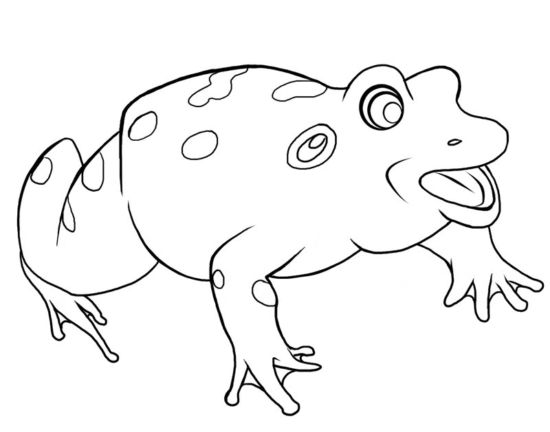 Frog coloring page 18