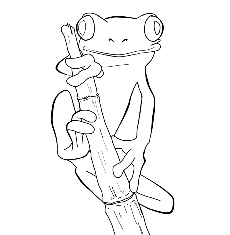 Frog coloring page 20