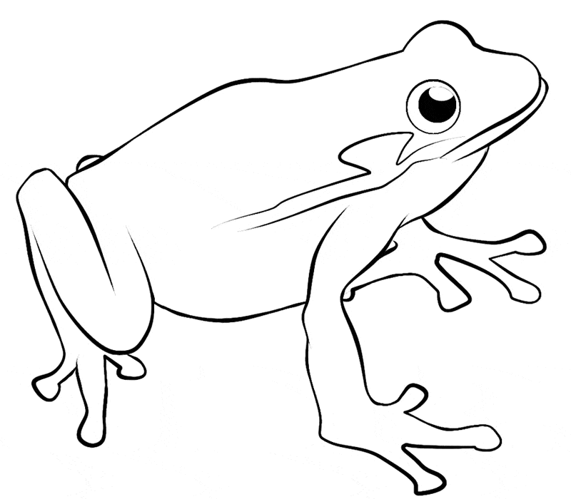 Frog coloring page 21