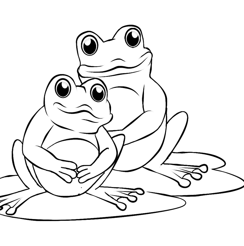 Frog coloring page 24