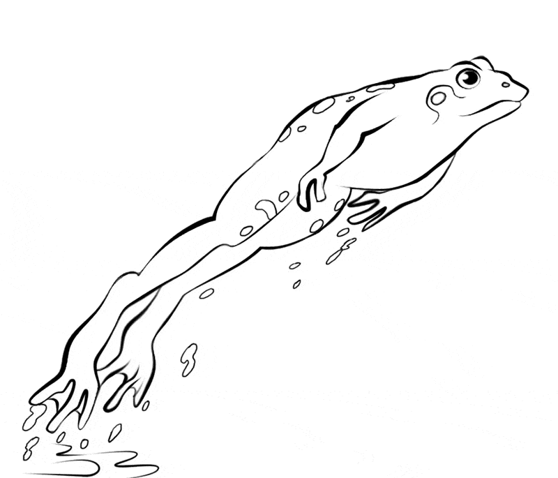 Frog coloring page 25