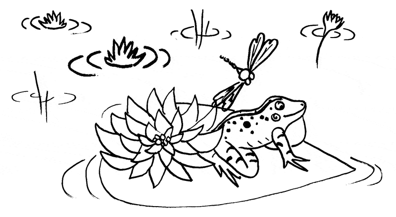 Frog coloring page 4