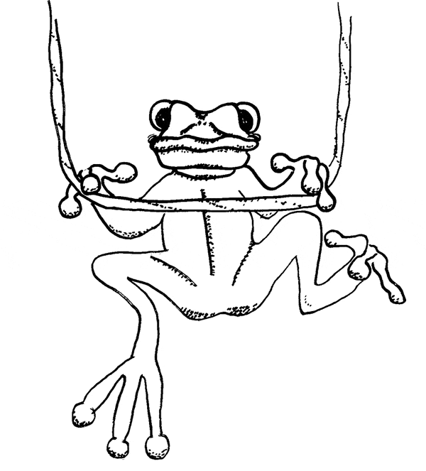 Frog coloring page 5