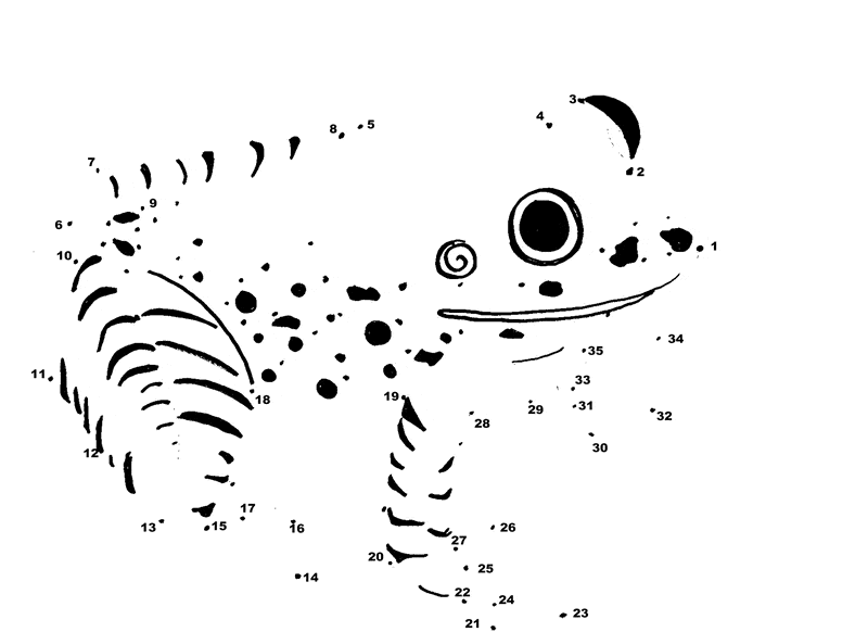 Frog coloring page 6