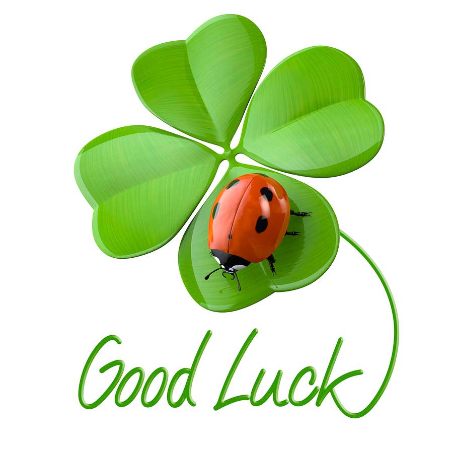 ladybug Good Luck Four Leaf Clover