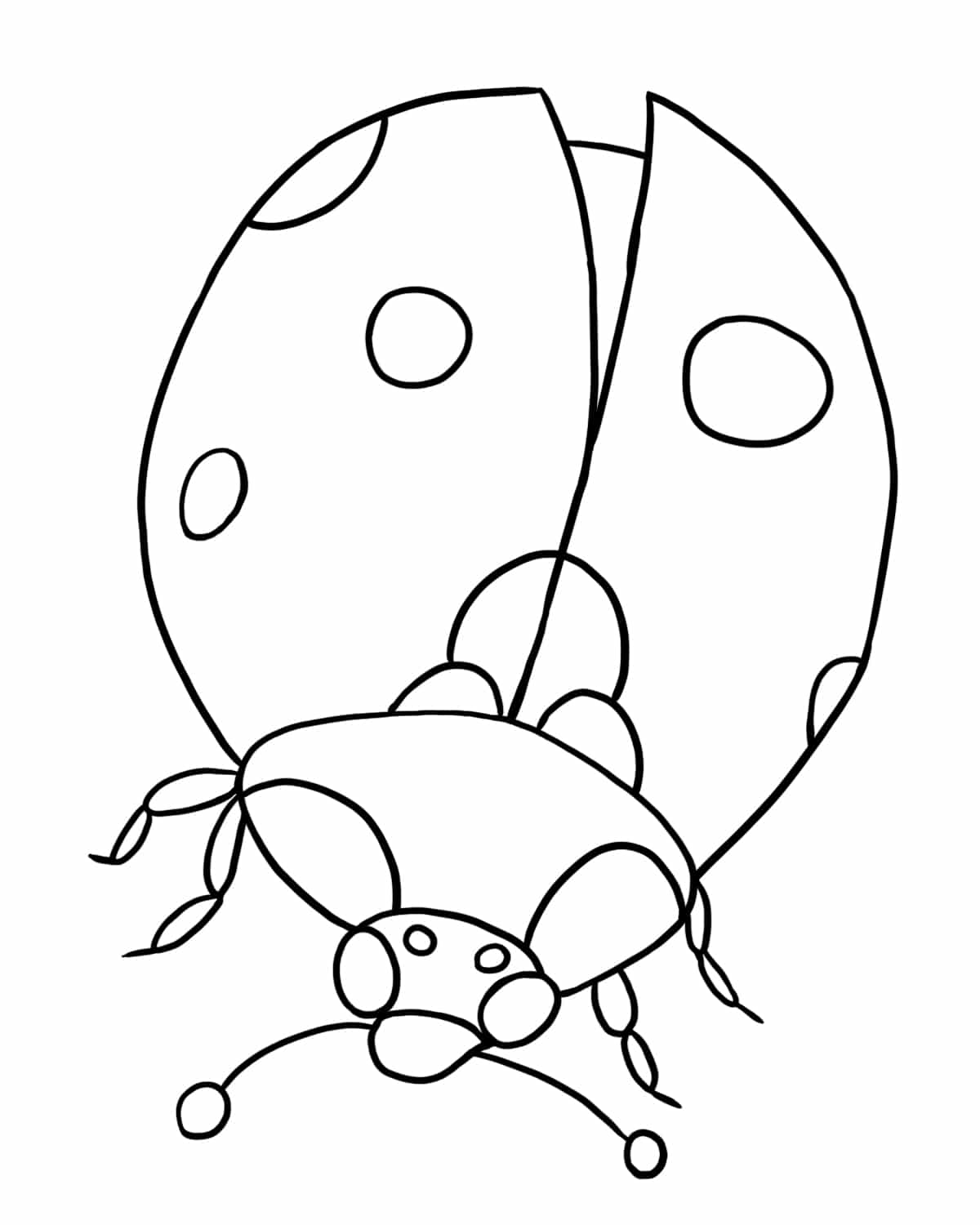 Free Ladybug Coloring Page