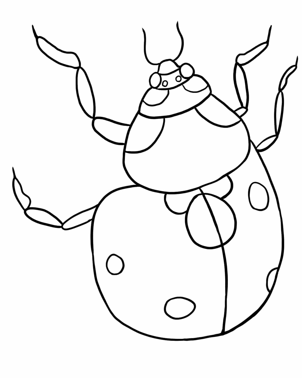 Free Ladybug Coloring Page