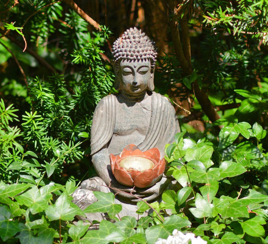 Lotus Flower Buddah
