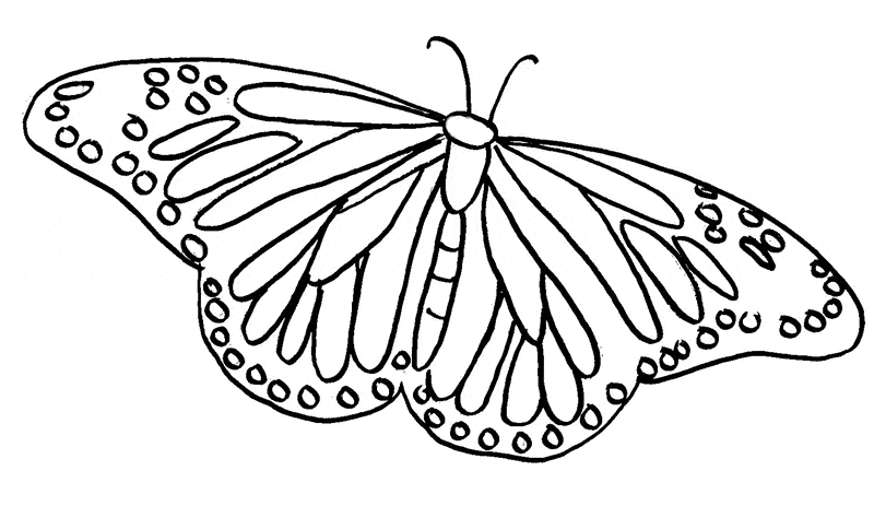 Painted Lady Butterfly Coloring Page