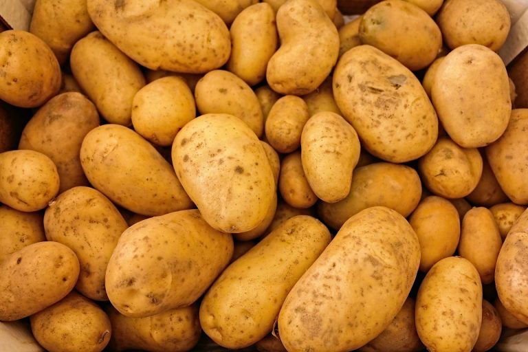Is Potato a Vegetable?