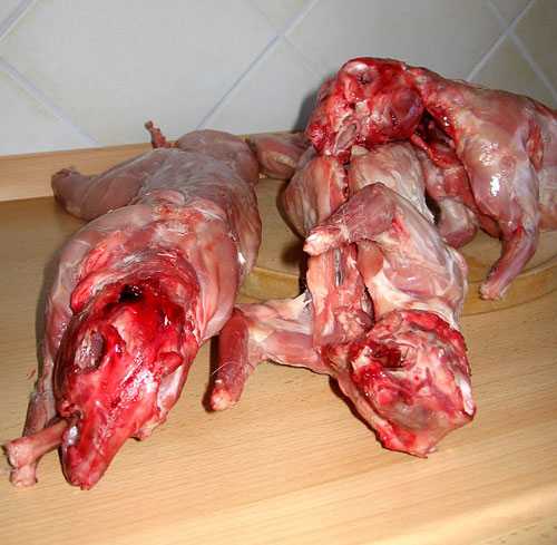 Rabbit Meat