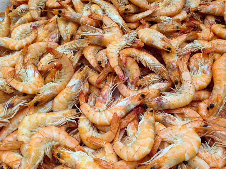 Shrimps & Prawns